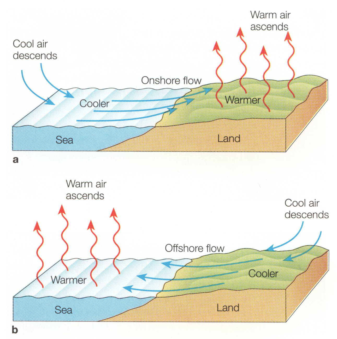 3-tertiary-circulation-sa-geography