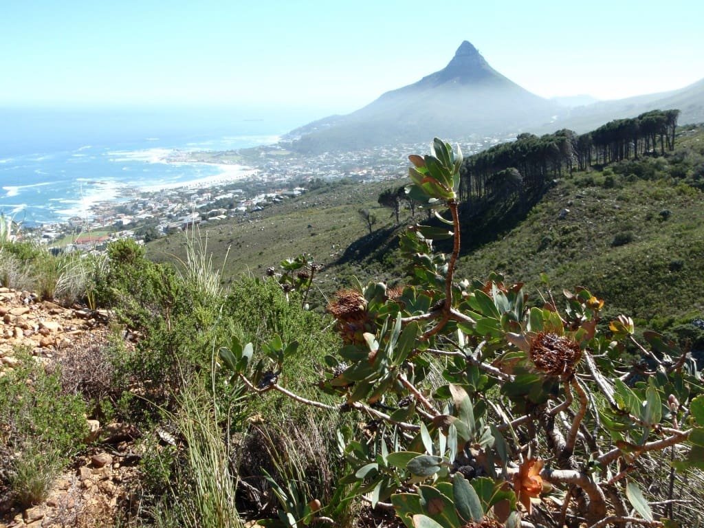 Inselberg_1-1024x768