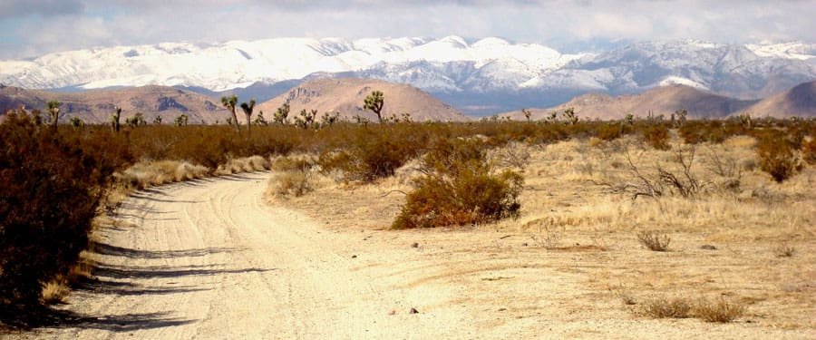 desertsnow