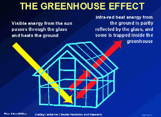 greenhouse