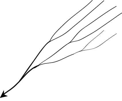 Parallel
