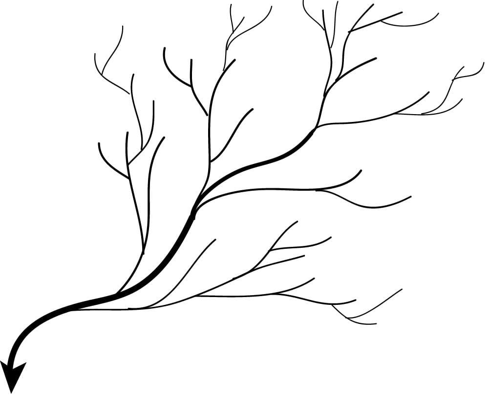 dendritic
