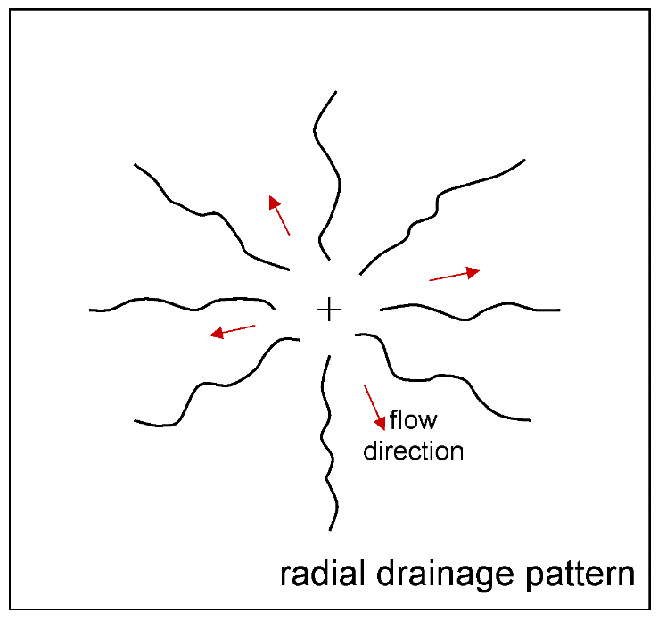 radial