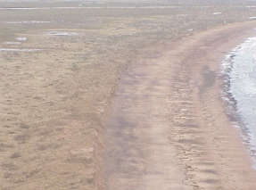 25metres